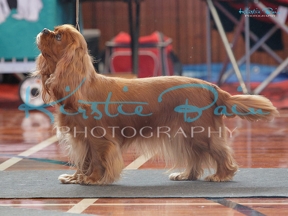 KB016080