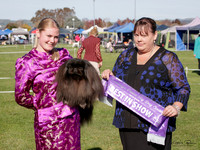 Heretaunga Toy Dog Society