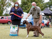 KBP25334