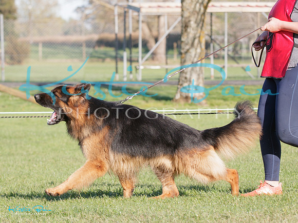 KBP29386