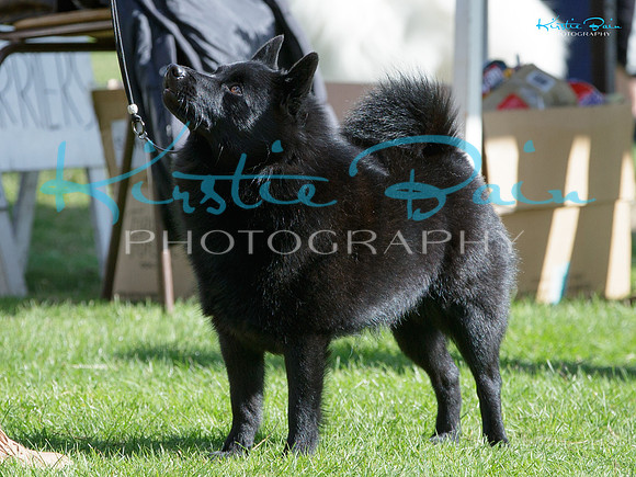 KB017769