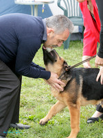 Auckland Provincial GSD League