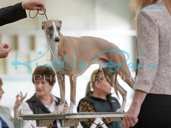 KB013428