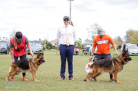 Stock Coat Best of Breed