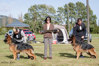 Long Stock Coat Dogs