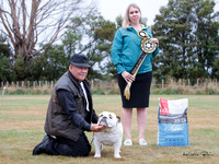 Best in Show