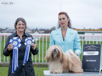 Best in Show