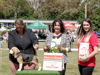 KBP28799