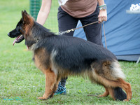 Long Stock Coat Best of Breed