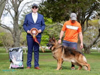 Best in Show
