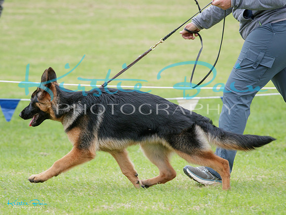 KBP28587