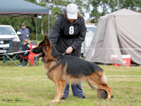 KBP20098