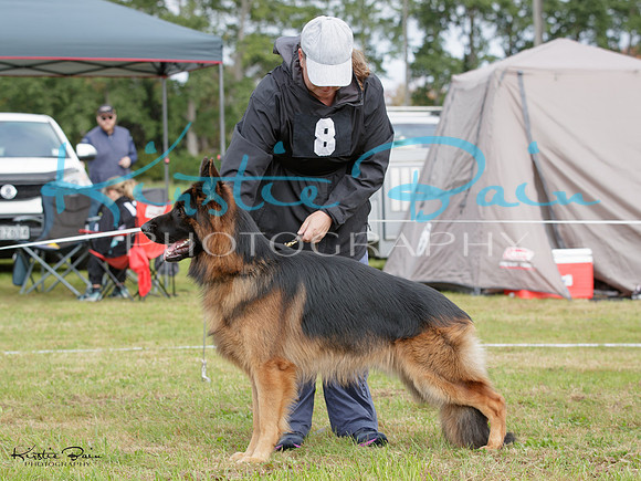 KBP20098