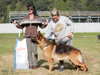 Best in Show