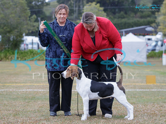 KB018576