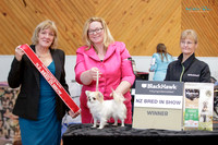 KBP25068