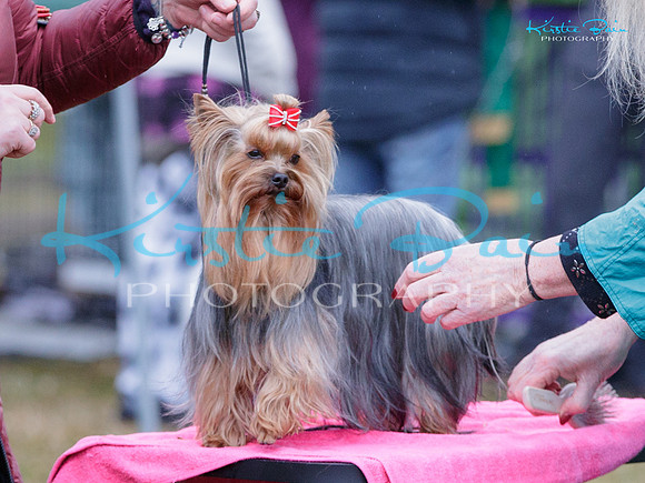KB018882