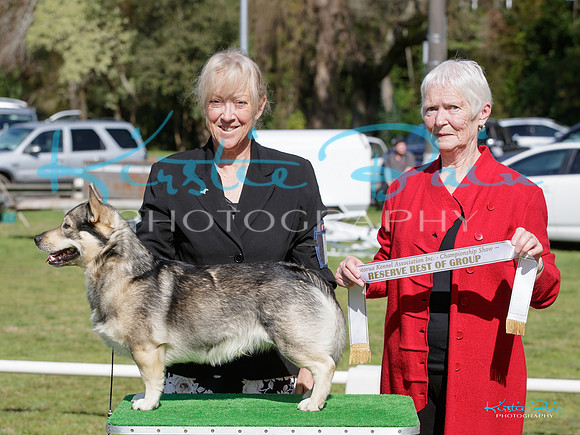 KBP22141