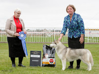 Best in Show