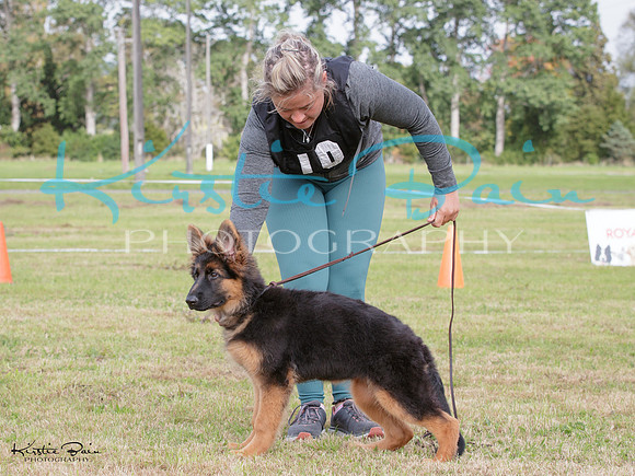 KBP29955