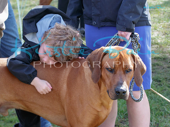 KBP26956