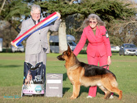 Best in Show