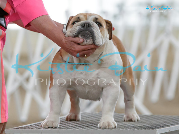 KB013695