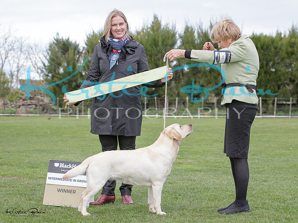 KBP20209