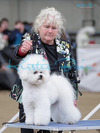KB018783