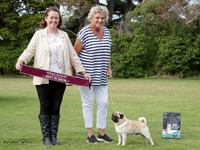 Best in Show - Open Show Two