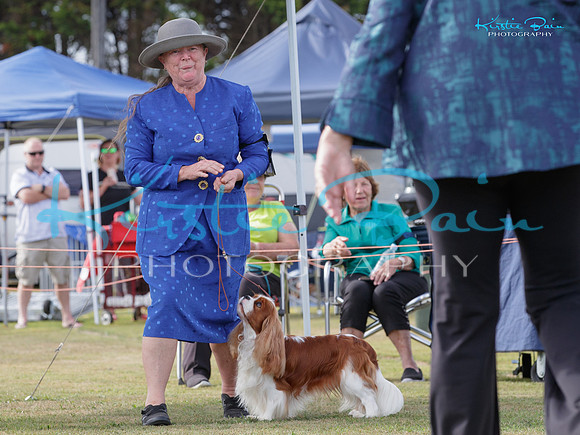 KB011683