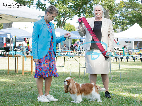 KB019143