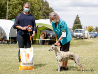 Best in Show