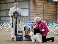 Best in Show