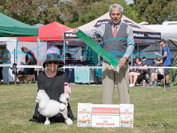 KBP29688