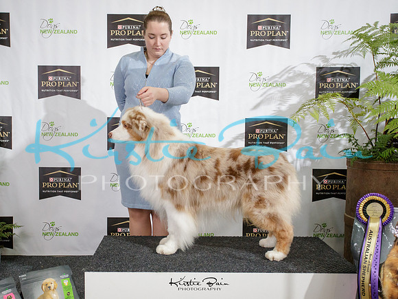 KB017658