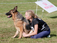 Wellington District German Shepherd Dog Club