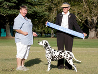 Best in Show