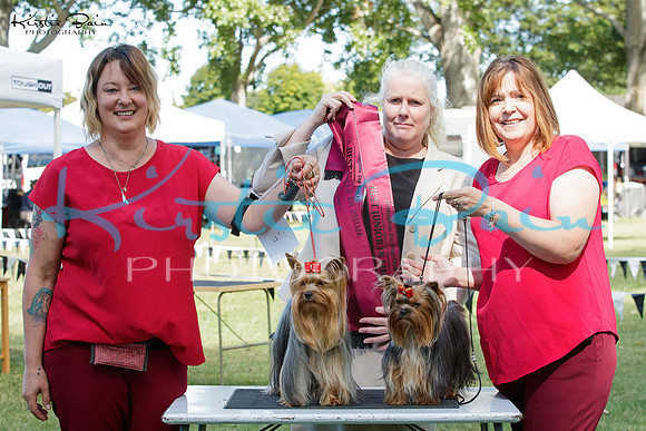 KB019134