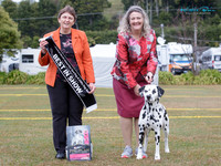Central North Island Non-sporting & Utility Dog Association