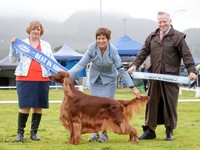 Best in Show