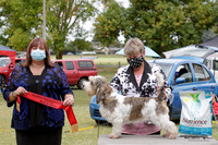 Best in Show