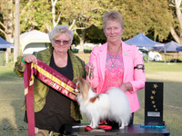 Central Toy Dog Club