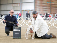 KB016815