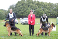 Stock Coat Best of Breed