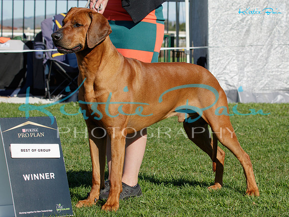 KBS18686