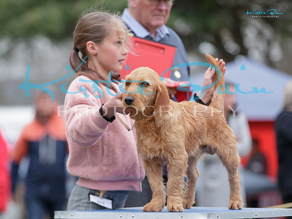 KBP26132