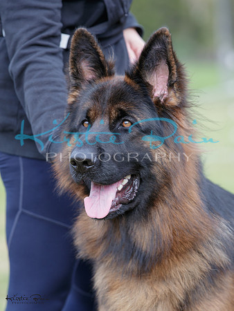 KBP29869