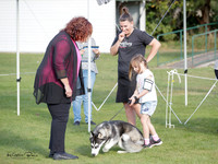 Great Northern Siberian Husky Club