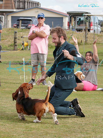 KB011410